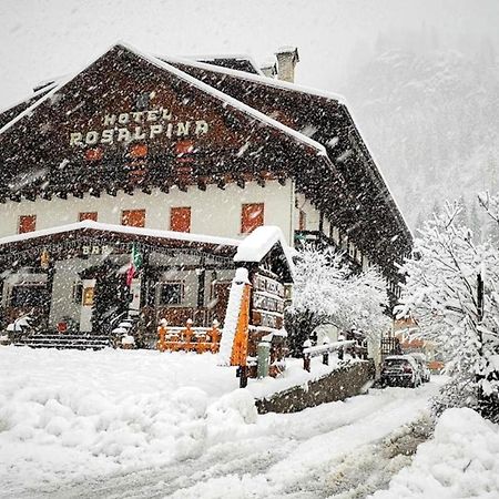 Hotel Rosalpina 罗卡皮耶托雷 外观 照片