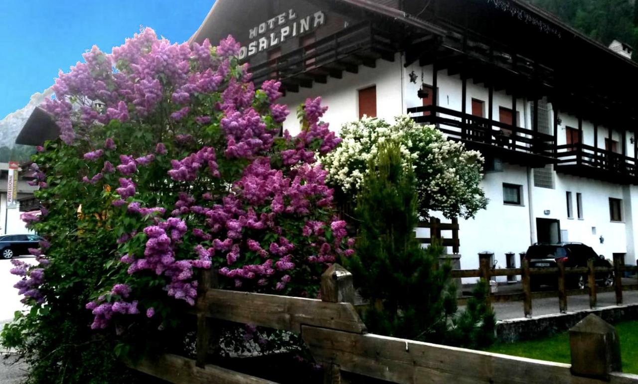 Hotel Rosalpina 罗卡皮耶托雷 外观 照片